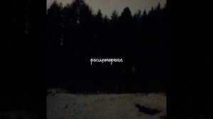 грусть,грустинка=﹤