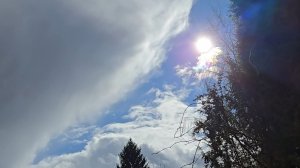 Непостоянство весенней погоды, проделки бобров и разноцветные прутья