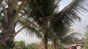 Замуж в Индию / ВОТ ЭТО ПОВОРОТ Заманчивое предложение а я против Дружбе конец