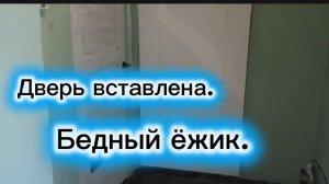 Дверь в душевую вставлена.Бедный ёжик.