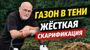 Газон в тени: жёсткая скарификация от мха