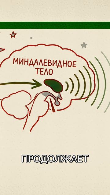 Почему зубы стираются ночью ? Неокортекс против древних инстинктов