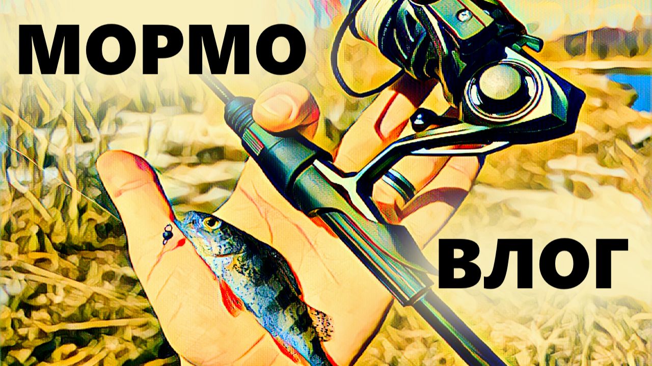 Это МОРМО ВЛОГ