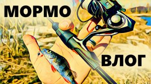 Это МОРМО ВЛОГ