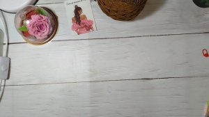 И снова старты//Готова Совушка//У меня кривые ноги 🤣