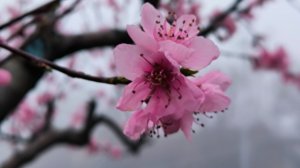 Песенная Медитация 07.04.2026