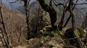 г. Кепша смотровая 29 03 2026