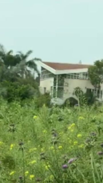 Вера говорит Яна Титова NSM