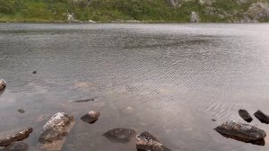 Шаманика