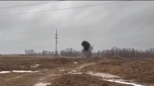 В Башкортостане фермер обнаружил на своем поле бельгийскую гранату времен Гражданской войны