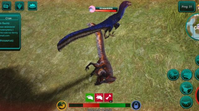 лапы в психушку