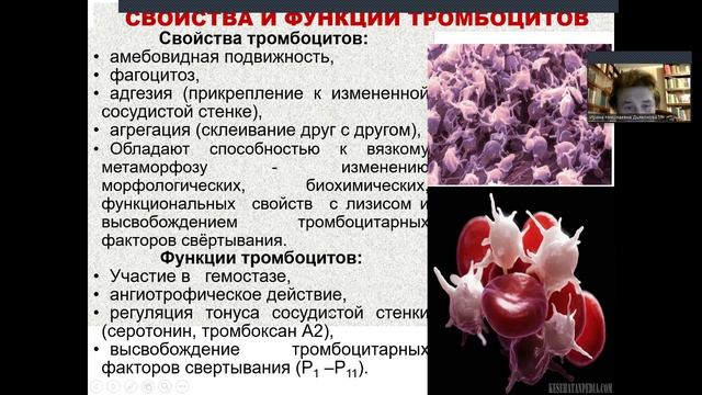 Физиология крови. Дьяконова И.Н.