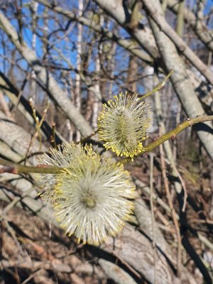 привет я начинающий блогер