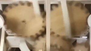 Видео от HackAvto – Лайфхаки и фишки для авто