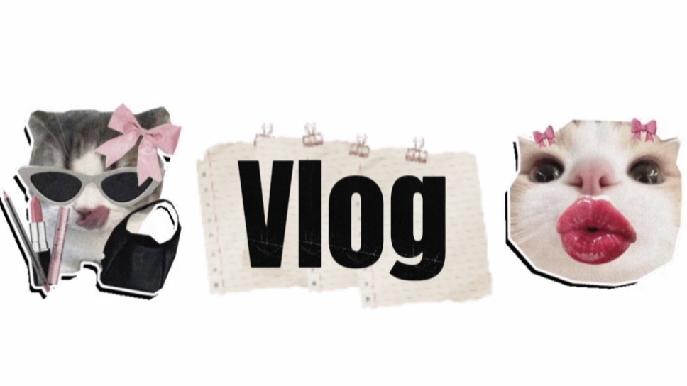 Vlog / мемы / комфорт