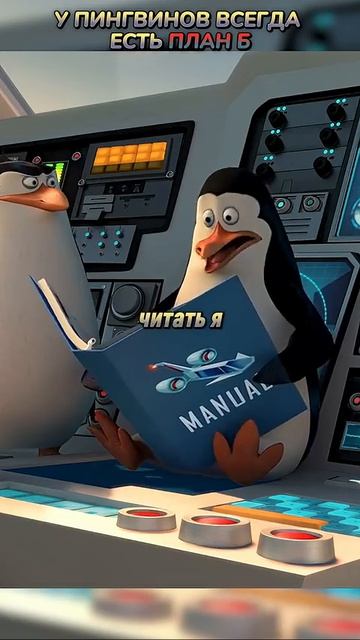 Пингвины Мадагаскара