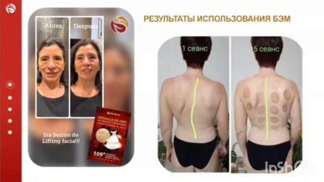 WHIEDA Продукция