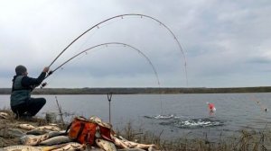ОН ТУТ ГОТОВ НА ГОЛЫЙ КРЮЧОК КЛЕВАТЬ рыбалка на поплавок весной