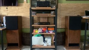 Брайан Бромберг бас тест с copland405a