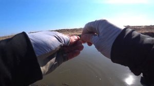 Ловля Окуня на Микроджиг Весной Спиннинг Lucky John Basara Flex 6 на Малой Реке