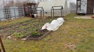 Закат. Весенний декор. Березовый сок. Уезжаем