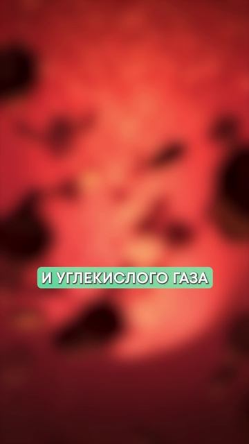 Сильный СТРЕСС – ЧТО делать?! #страх #стресс #психология