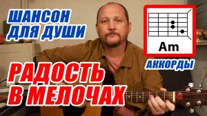 РАДОСТЬ В МЕЛОЧАХ - ШАНСОН ДЛЯ ДУШИ (ПРОСТАЯ ПЕСНЯ НА ГИТАРЕ) АККОРДЫ БЕЗ БАРРЭ И ТЕКСТ (РАЗБОР)