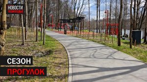 Работы по благоустройству парков проходят в Балашихе