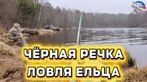 Елец на Черной речке | Открытие сезона 2026 | Как поймать ельца на фидер