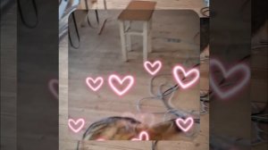 1000055315.mp4 (Собака наблюдает за устройством лестницы на 2-ой этаж в доме А-фрейм)