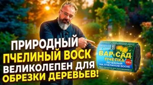 Садовый вар, который лечит деревья после обрезки. Натуральный Вар Сад Пчелка.