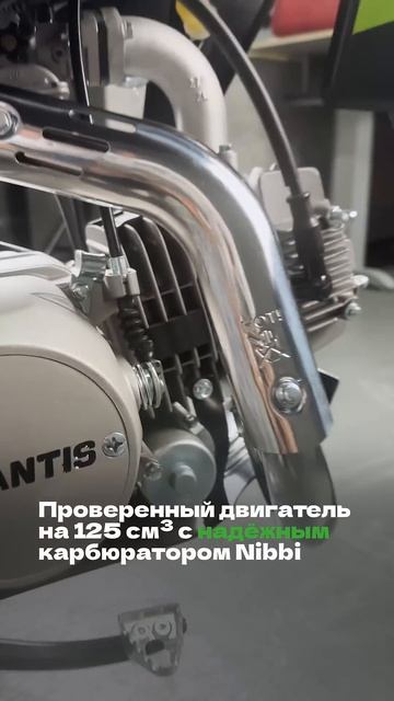 Питбайк Avantis H125E Lux