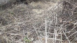 ПРОДЕЛАННАЯ 💥 РАБОТА 💥 ОЧИСТКА ДВОРА💥    ПОДПИШИСЬ💯