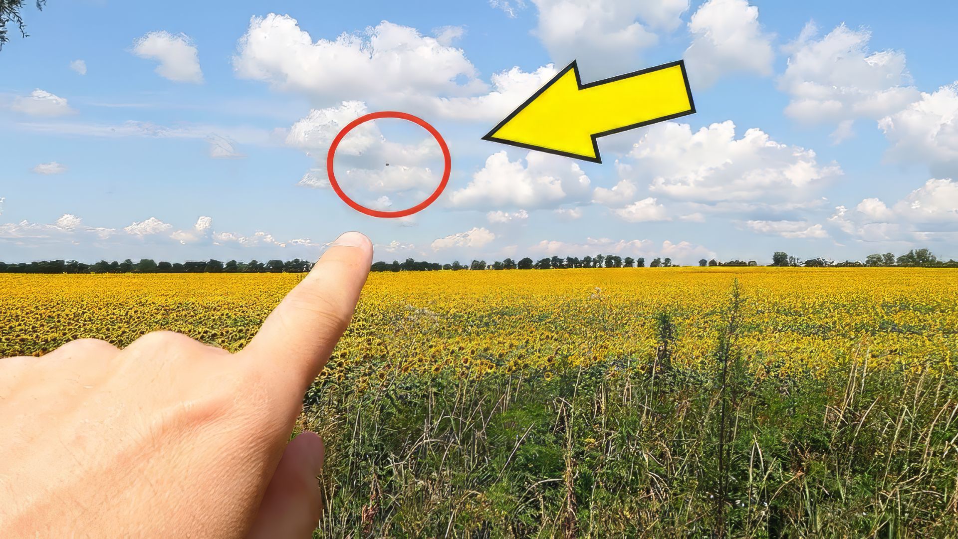 Запустил Mavic Air за горизонт! Тест на максимальную дальность полета! Alex Boyko