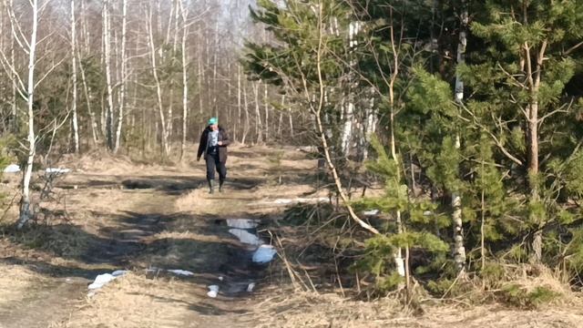 Лес/сок/еда