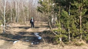 Лес/сок/еда