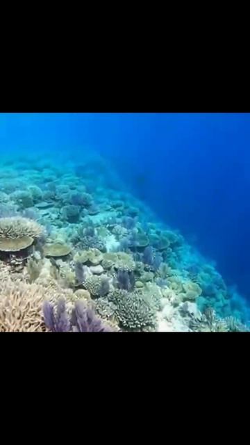 #aquanaut #underwater #ocean #exploration #fyp