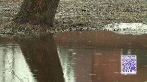 Синоптики рассказали о погоде в Вологодской области