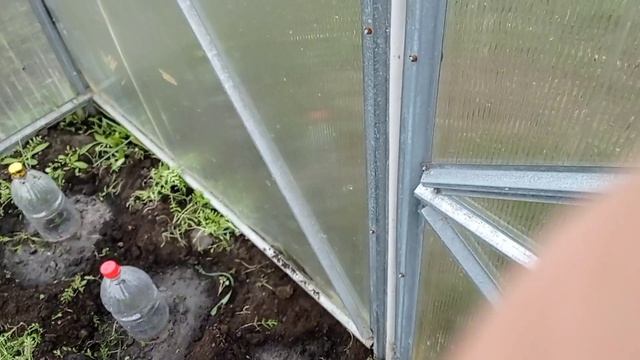 Они мне здесь не нужны! Сельская жизнь.