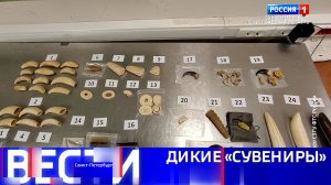 Вести Санкт-Петербург. Выпуск 09.30 от 07.04.2026