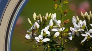 Ах, как же манят облака.mp4