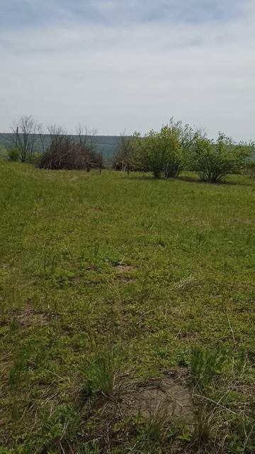 В продаже 24 сотки Ставрополь