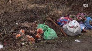 В мэрии Ярославля рассказали, как планируют решать проблему затопленных кладбищ