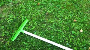 Влад и Никита играют с Волшебным колесом (1)