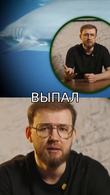 Почему у нас один набор зубов на всю жизнь?