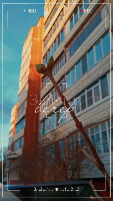 Золотая прогулка | Атмосферный клип о весеннем закате