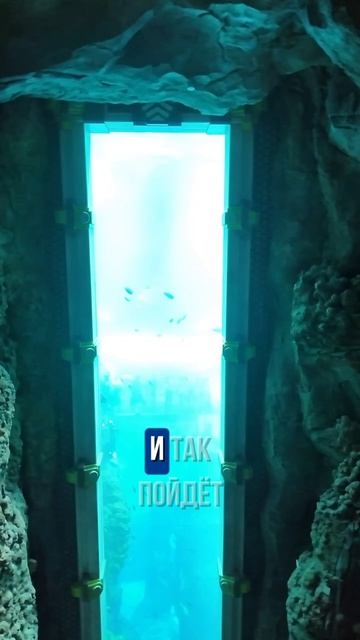 Переходи в мой телеграмм канал✨