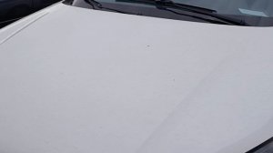 1000199425.mp4 гр20г