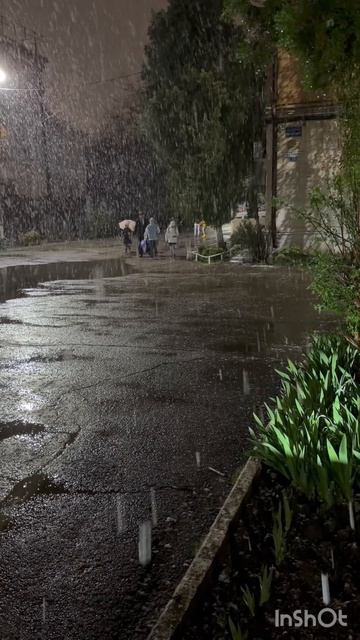 Снег в Краснодаре 7 апреля