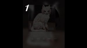 аоаоаоаоаоаоов аоаоаооаоа Я ВЛЮБИЛАСЬ КАК ДУРА В МОЙ ПЛЕЙЛИСТ